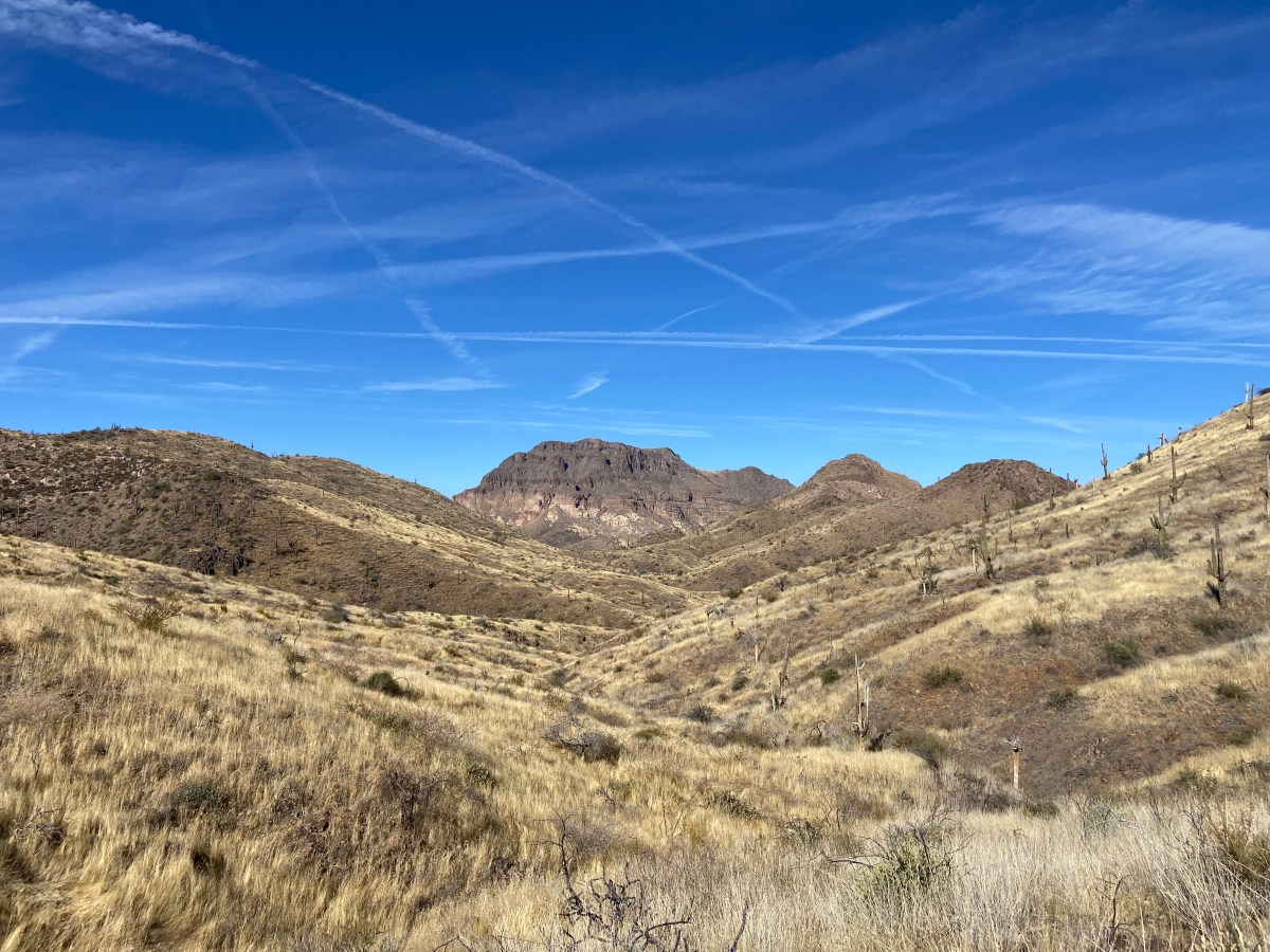 That One time I hiked in the Arizona&nbsp;Desert